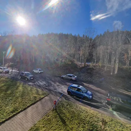 Holiday Apartment Near Triberg Waterfall Triberg im Schwarzwald Exterior photo