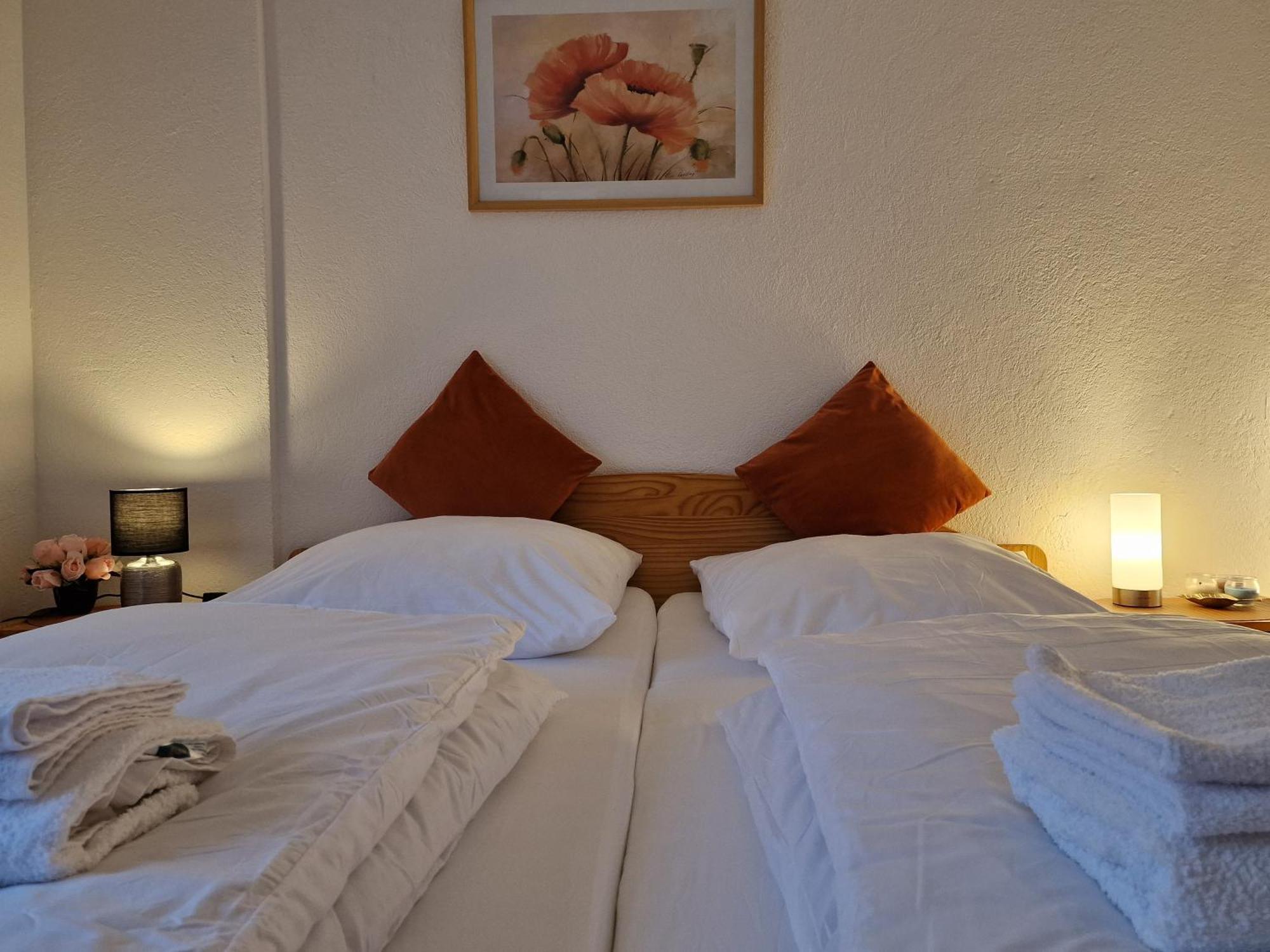 Near Triberg Waterfall Apartment