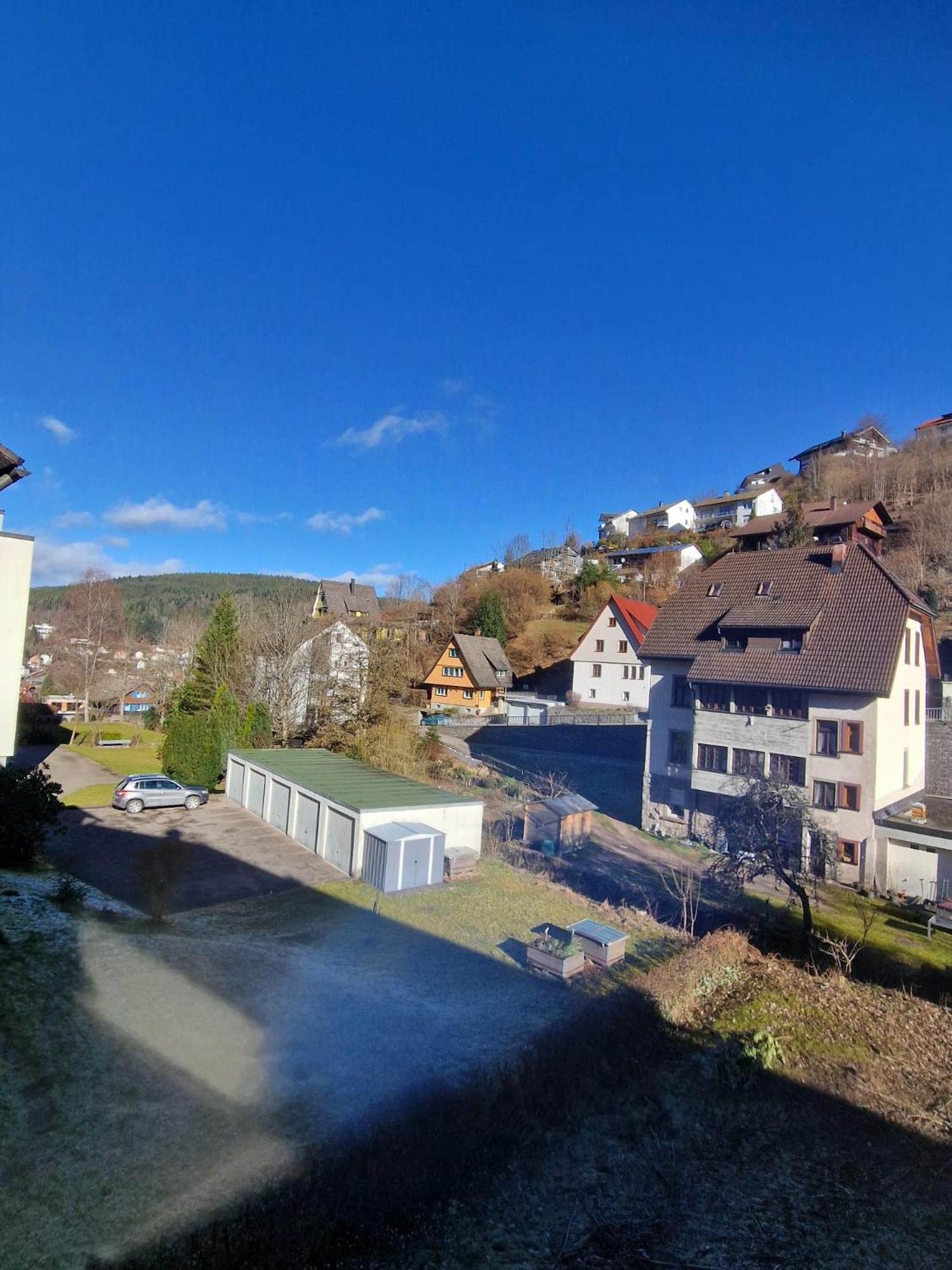 Near Triberg Waterfall *