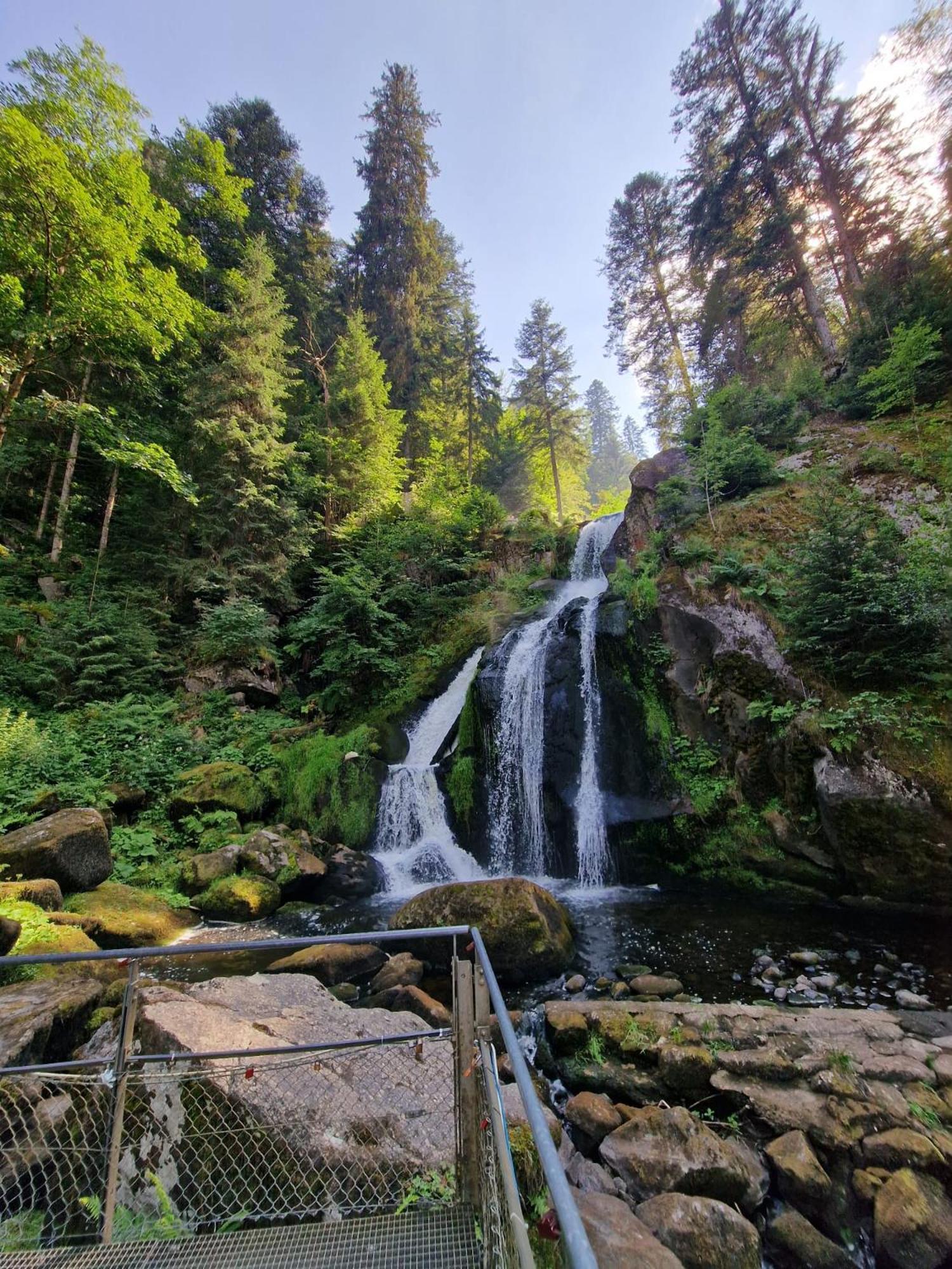 Near Triberg Waterfall * Triberg im Schwarzwald