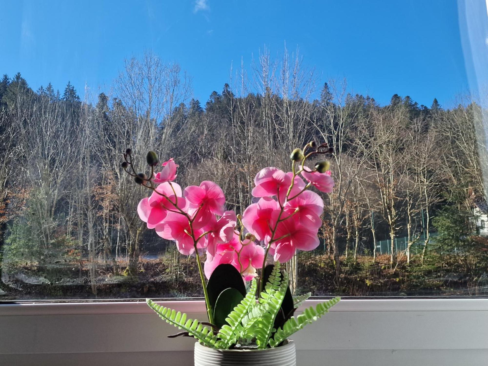 Apartment Near Triberg Waterfall Triberg im Schwarzwald